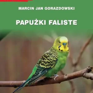 Papużki faliste Kup online