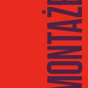 Montaże. Debora Vogel i nowa legenda miasta Niska cena