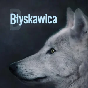 Błyskawica Dostępne od ręki