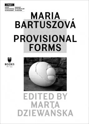 Maria Bartuszova: Provisional Forms Tani