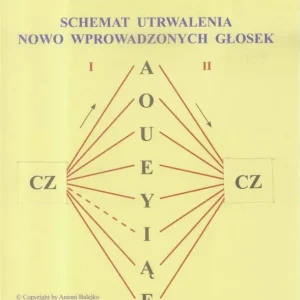 Schemat utrwalania nowo wprowadzonych głosek Hit sprzedaży