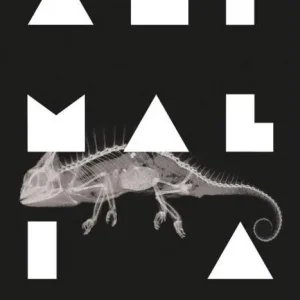 Kup online Animalia