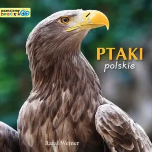 Nowy Poznajemy zwierzęta. Ptaki polskie LIWONA