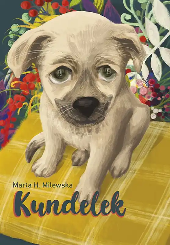 Kundelek Cena promocyjna