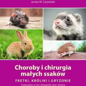 Choroby i chirurgia małych ssaków Fretki, króliki, gryzonie Nie przegap
