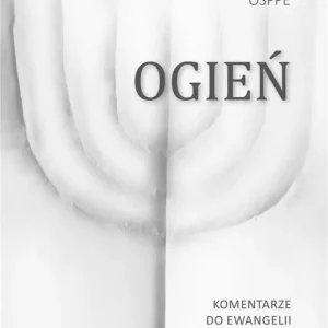 Ogień. Komentarze do Ewangelii św. Mateusza cz.1 Tani