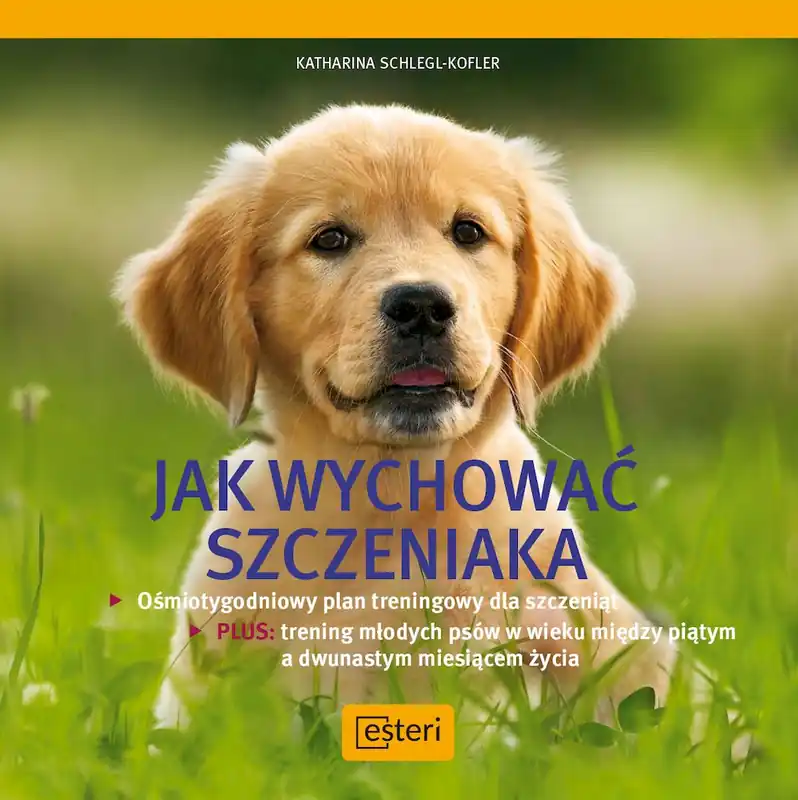 Jak wychować szczeniaka Niska cena