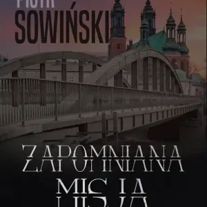 Szybka dostawa Zapomniana misja