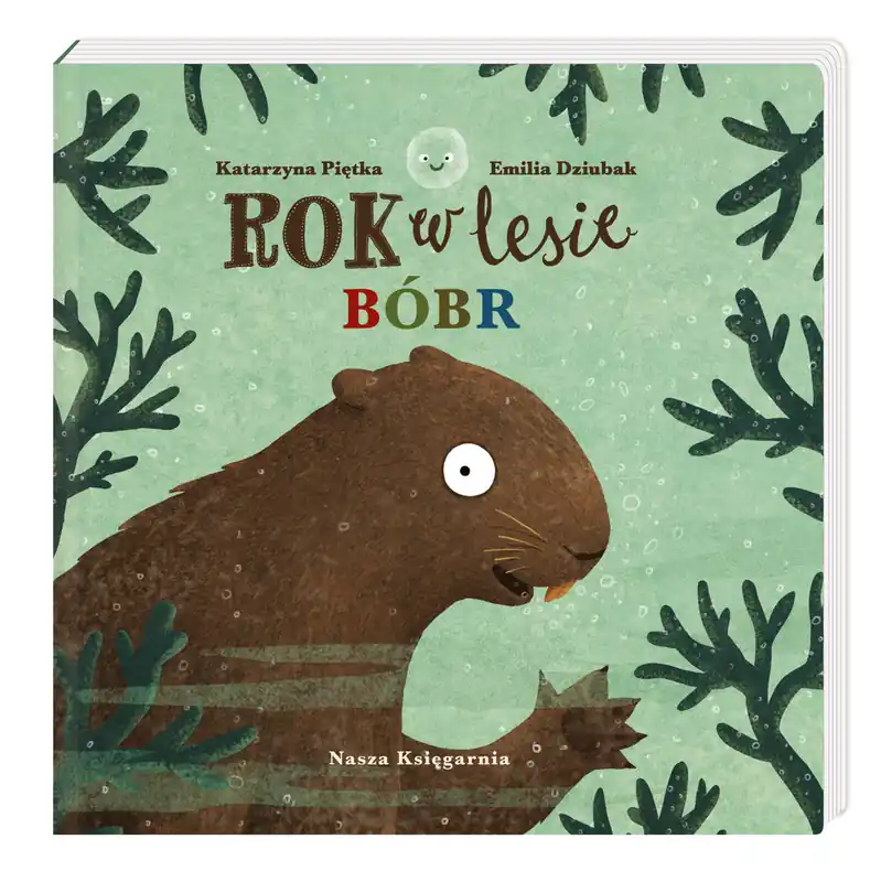 Rok w lesie. Bóbr Popularny