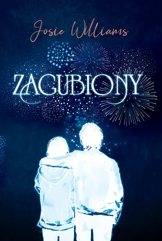 Zagubiony Bezpieczna płatność