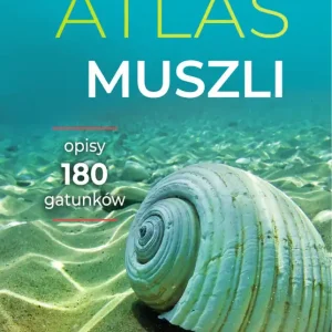 Bestseller Atlas muszli