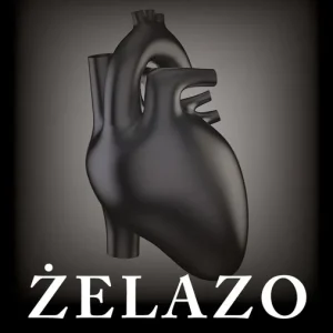Dostępne od ręki Żelazo. Paradoks cnót. Tom 2