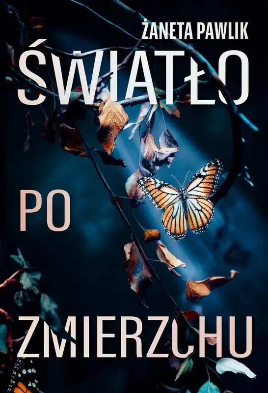 Do wyczerpania zapasów Światło po zmierzchu