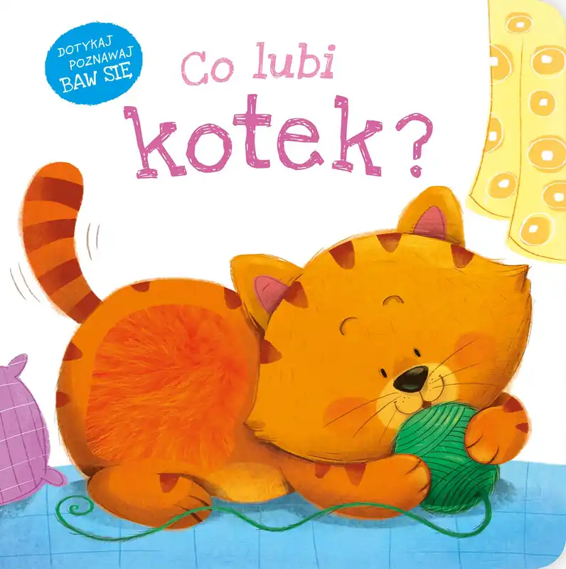 Co lubi kotek? Najlepsza cena
