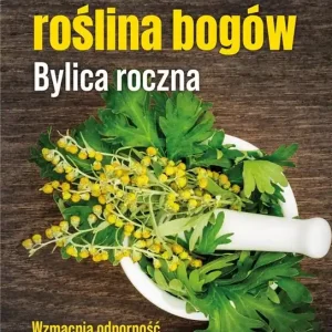Lecznicza roślina bogów. Bylica roczna Kup online