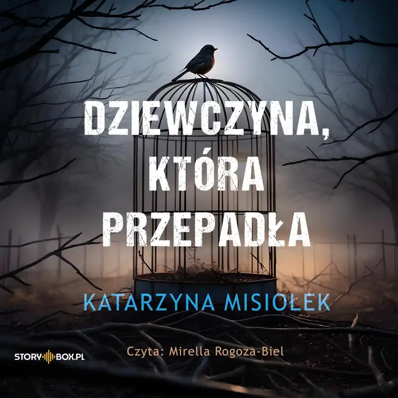 CD MP3 Dziewczyna, która przepadła Ostatnie sztuki
