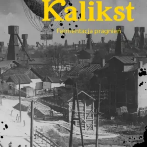 Oferta Kalikst. Fermentacja pragnień