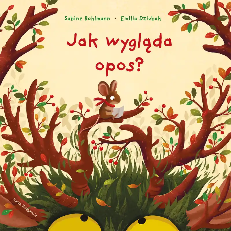 Wyjątkowa oferta Jak wygląda opos?
