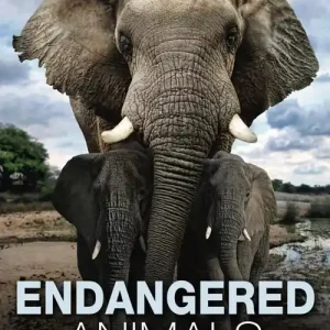 Endangered Animals Szybka dostawa