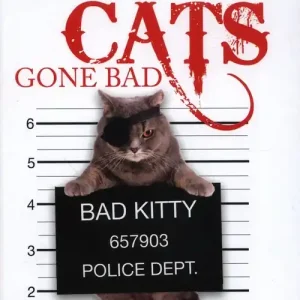 Najlepsza cena Cats Gone Bad