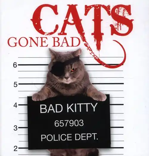 Najlepsza cena Cats Gone Bad