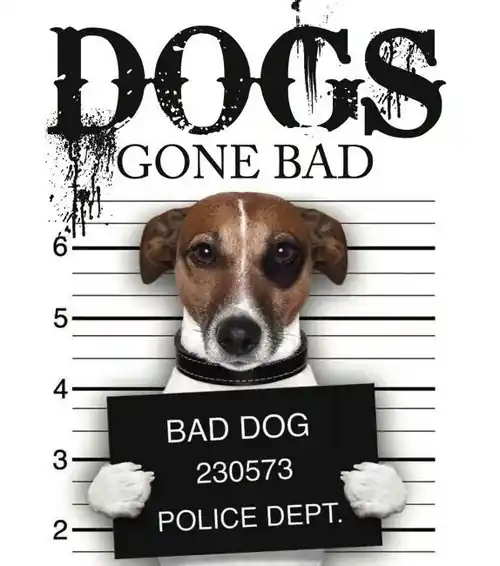 Dogs Gone Bad Nie przegap