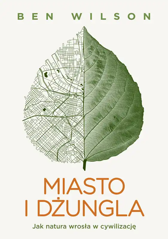Miasto i dżungla Sprawdź teraz