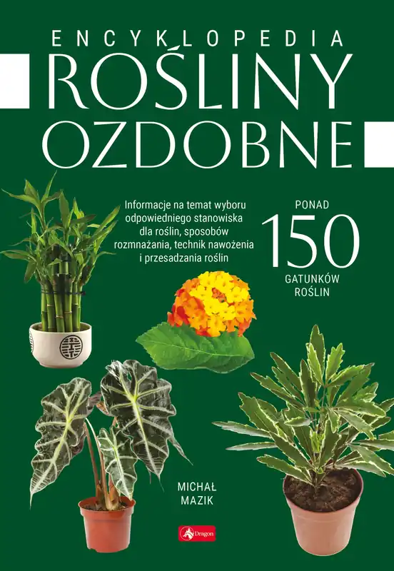 Szybka dostawa Rośliny ozdobne