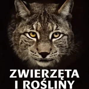 Zwierzęta i rośliny chronione w Polsce Zniżka