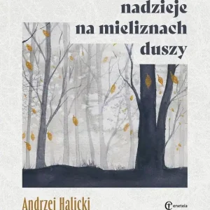 Nadzieje na mieliznach duszy Szybka dostawa