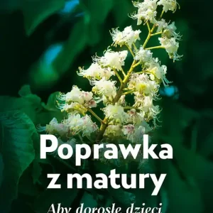 Bezpieczna płatność Poprawka z matury