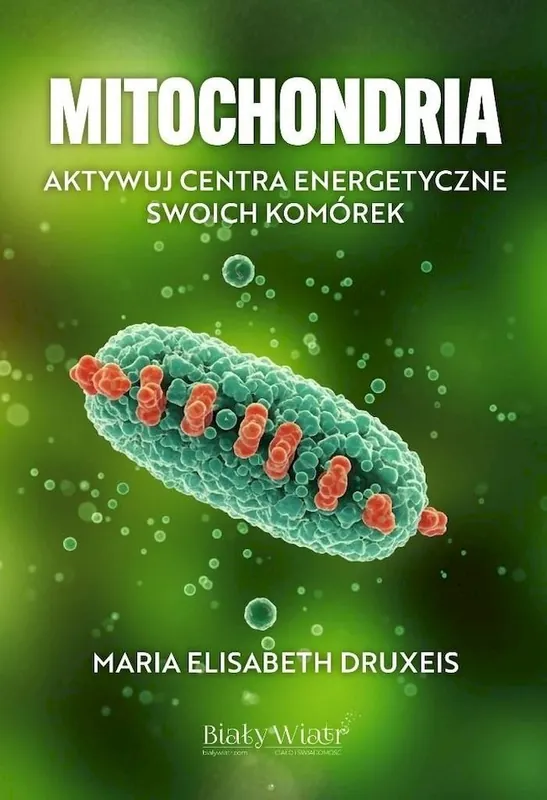 Najlepsza cena Mitochondria