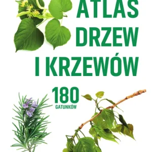 Bestseller Kieszonkowy atlas drzew i krzewów. 180 gatunków